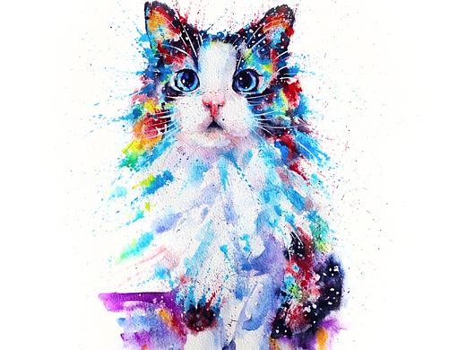 水彩下的猫青年
