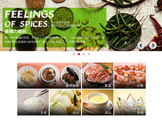 为super onion制作的官方web初版