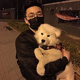 WangPsd的头像