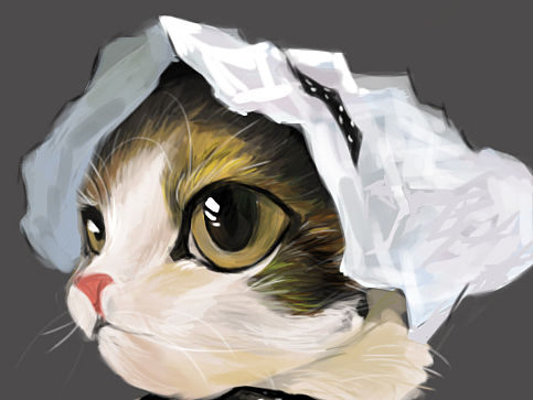 喵咪咪（个人主页-ZMTQzMzYwMjQ=） - 创作习作 - 站酷设计师四是十原创素材 - 站酷ZCOOL