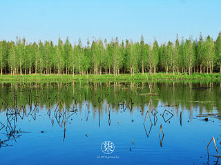 | 穹顶之下的'绿色 |