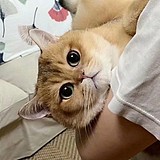 芊阳的头像
