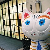 GNOSNUK的头像