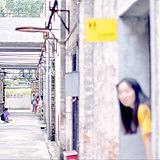 椰子椰子小椰子的头像