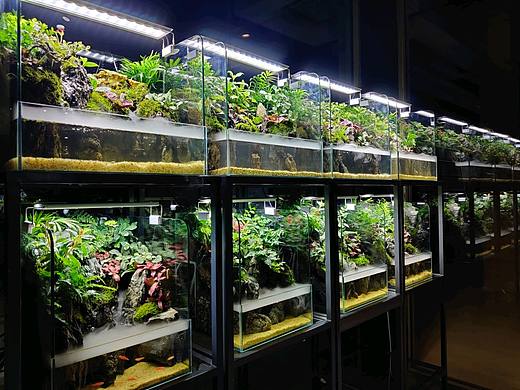 水陆常规缸,雨迹雲踪·Liangki良奇制作