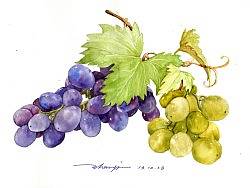 請(qǐng)大家吃葡萄吧（個(gè)人主頁(yè)-ZMjc1OTAyOA==） - 創(chuàng)作習(xí)作 - 站酷設(shè)計(jì)師parisa_zhang方姐原創(chuàng)素材 - 站酷ZCOOL