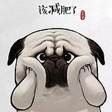 dang裆的头像