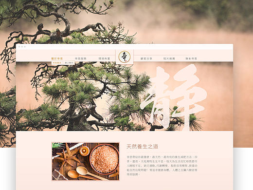 中医推拿web