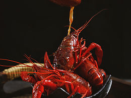 大志W(wǎng)ang的周末食光