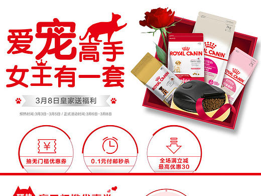 3.8节专题 宠物食品页面 猫粮狗粮