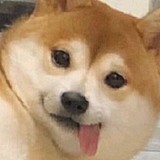 哪里拖的头像