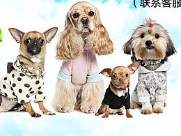 狗粮 宠物海报 海报 宣传海报 活动海报