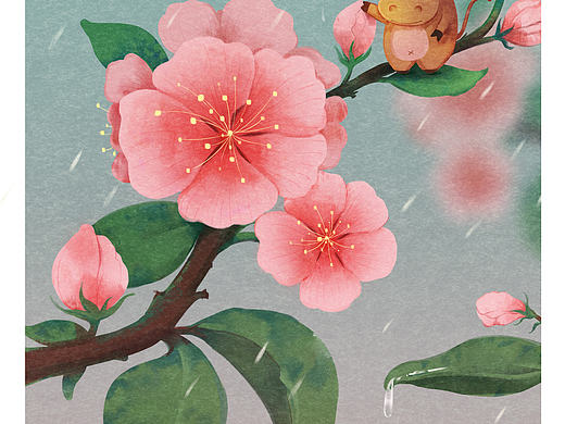 TOTORO|一些插画练习