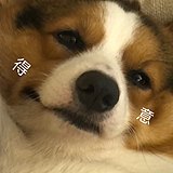 用戶頭像