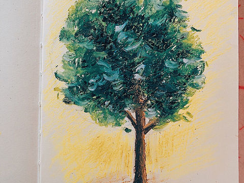 [billd出浴]一颗会开花的树