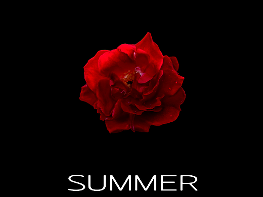 SUMMER