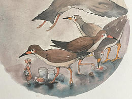 小新