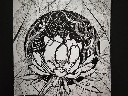黑白插画