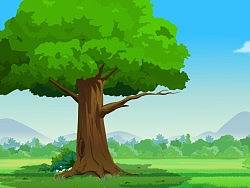 场景