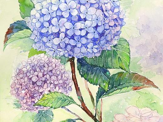 水彩花卉（个人主页-ZNTYzNzAxMDQ=） - 绘画 - 站酷设计师画画的凉拌折耳根原创素材 - 站酷ZCOOL