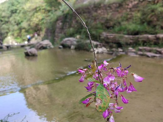 记不得多久前拍的了
