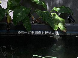 我的工作室：小满