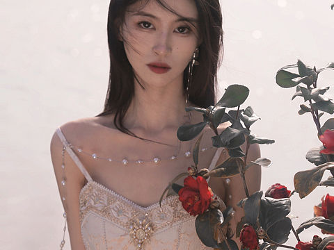 红山茶