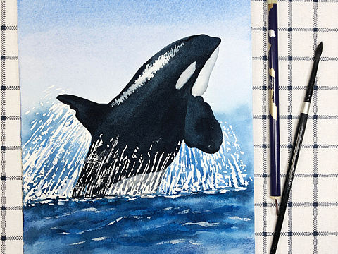 手绘水彩-鲸鱼