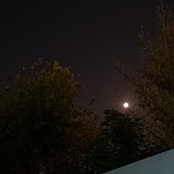 小叮铛铛啊的头像