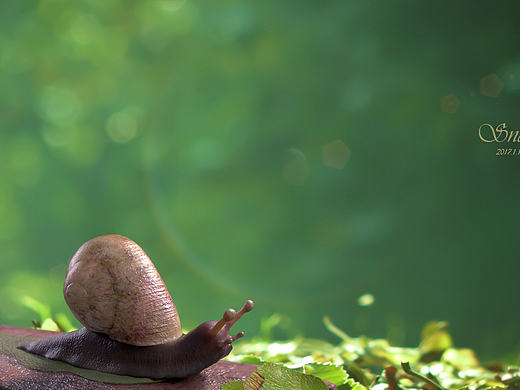 Snail