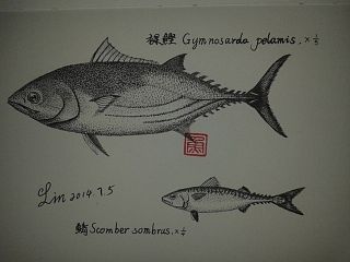 鱼