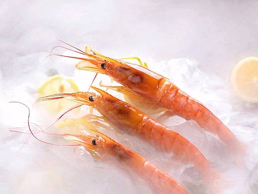 电商天猫生鲜产品拍摄【阿根廷红虾】组图