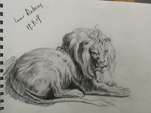 鲁本斯的狮子