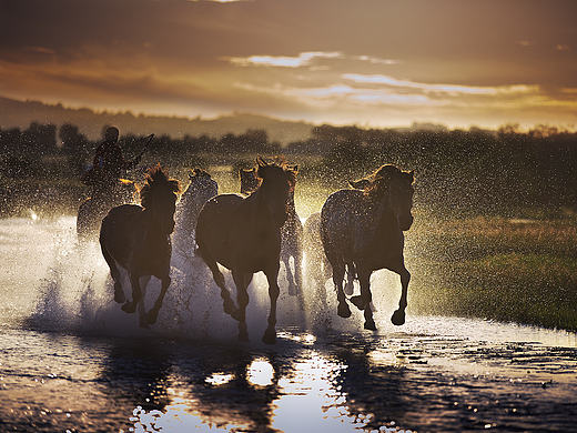 风光组-夕阳奔马-1群-hakeem