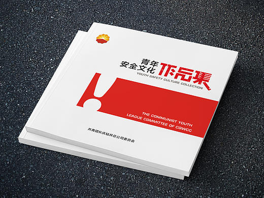 安全拍客2015版