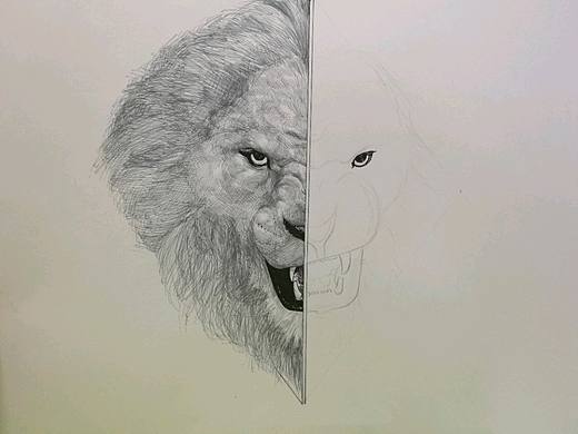 雄狮——蓝鲸（个人主页-ZMjE5OTM2NTI=） - 创作习作 - 站酷设计师精ding原创素材 - 站酷ZCOOL