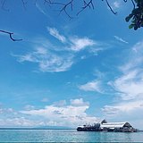 yan1121的头像