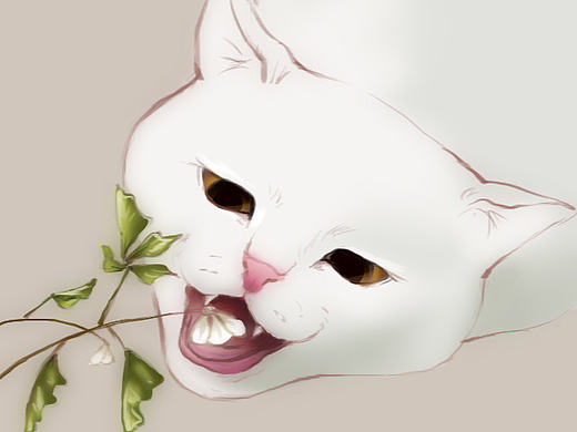 花花草草