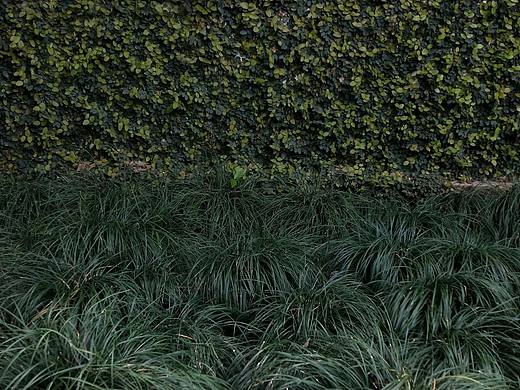 隨手拍（個(gè)人主頁(yè)-ZNTMxNzA4MzI=） - 其他攝影 - 站酷設(shè)計(jì)師潘江雯原創(chuàng)素材 - 站酷ZCOOL