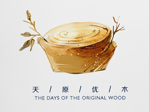 几页画册封面 版式