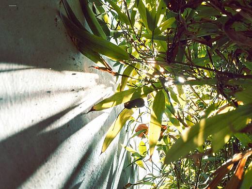 亂七八糟的照片（個(gè)人主頁-ZMTczNjU3ODQ=） - 其他攝影 - 站酷設(shè)計(jì)師柴魚片原創(chuàng)素材 - 站酷ZCOOL