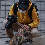 大雄和胖府的头像