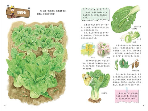 手绘水彩昆虫绘本