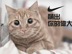 喵星人萬歲（個人主頁-ZMjM1NTIwNA==） - 圖案 - 站酷設(shè)計師管狐原創(chuàng)素材 - 站酷ZCOOL