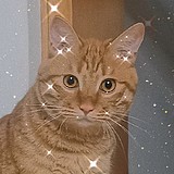 JUNwww的头像
