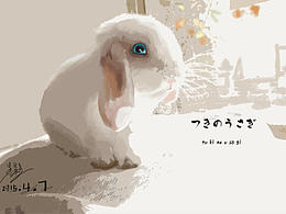 你就是我的月亮！