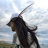 Taylor王wang的头像
