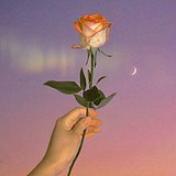 芋敉的头像