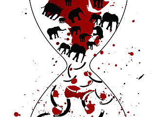 保护大象公益广告