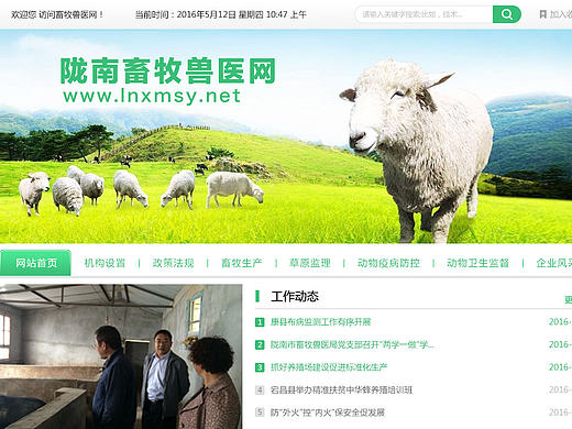 陇南畜牧官网（个人主页-ZMTYzNTI2ODg=） - 门户网站 - 站酷设计师小白疯狂打卡原创素材 - 站酷ZCOOL